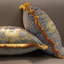 Coussin Flower-866999674-924715741