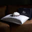 Oreiller en duvet d'oie blanche de la côte Pacifique, enveloppe en coton de la collection Luxury Hotel.-134779166-136331343