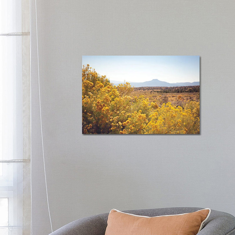 New Mexico Gold by Ann Hudec - Wrapped Canvas Print, 66.04 cm H x 45.72 cm W x 1.91 cm D