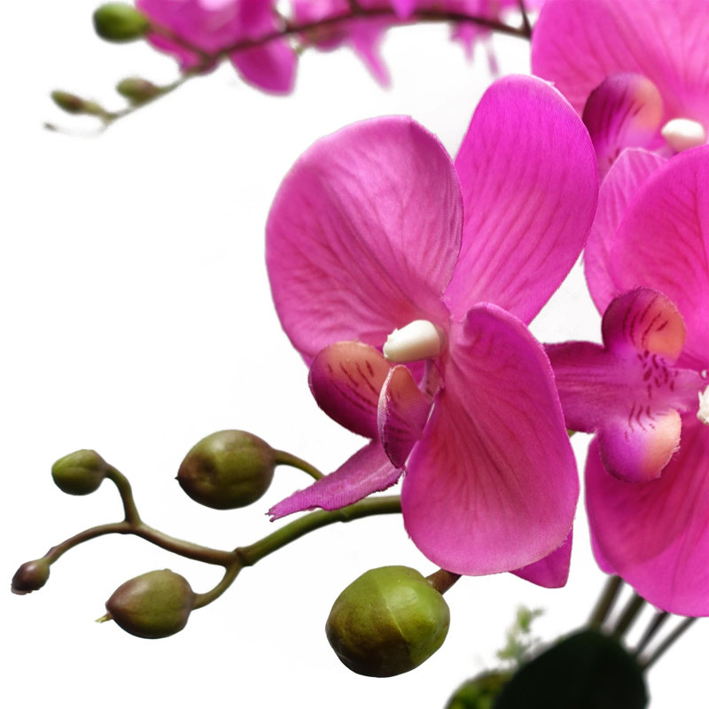 Plastic, Silk Orchid Arrangement in Pot