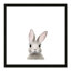 Art encadré en lapins forestières-48188938-48188939