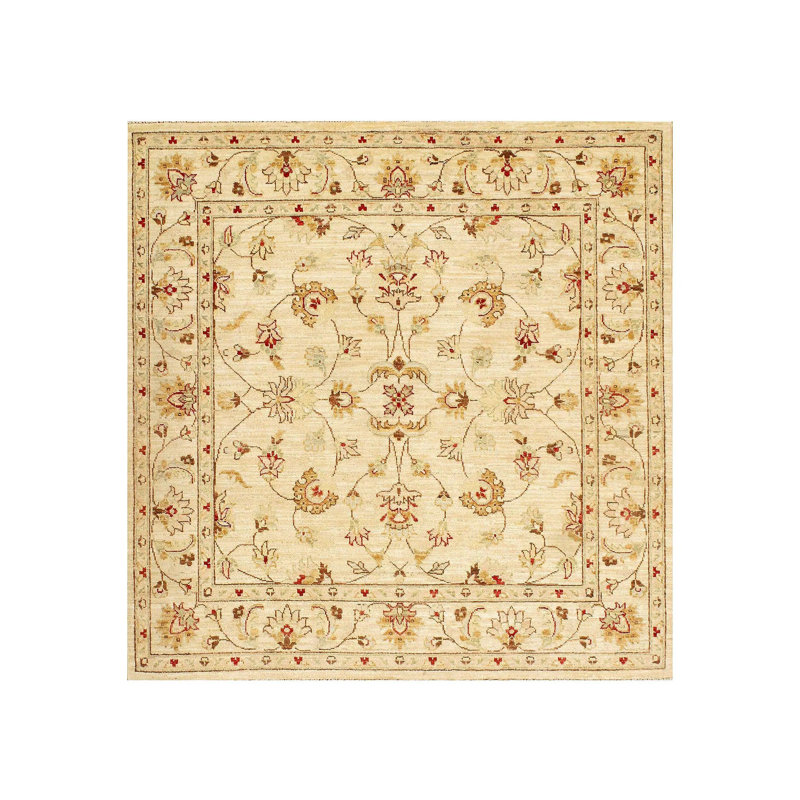 Shandrea Hand Woven Cotton and Wool Oriental Area Rug