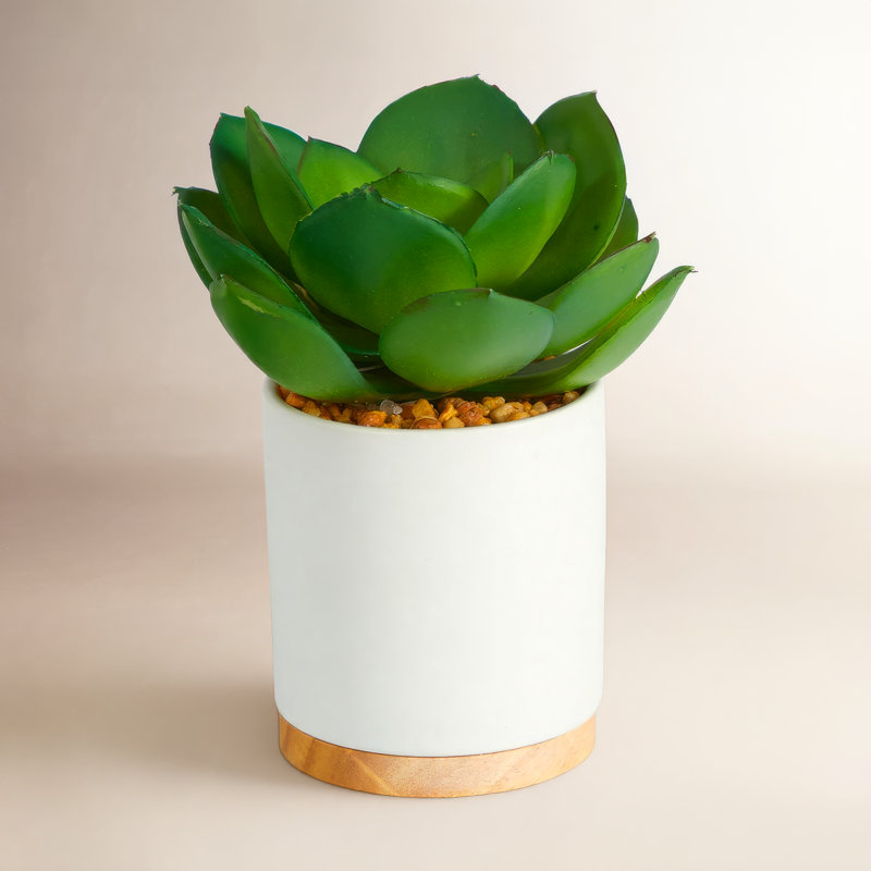 6 po Plante artificielle en pot blanc