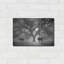 "Morning Calm II BW" par Debra Van Swearingen-168847566