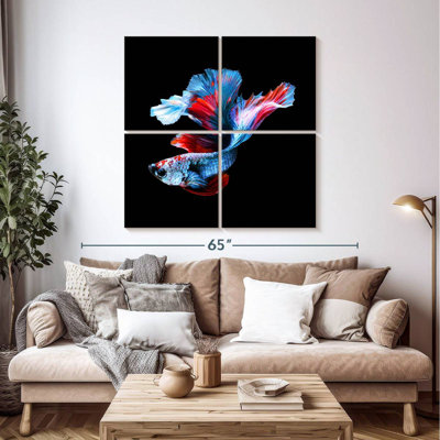 Brampt Elegant Betta Fish