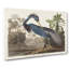 Louisiana Heron by John James Audubon - Wrapped Canvas-55365324