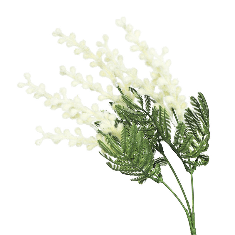 Acacia Mimosa en vaporisateur, Crème/Vert