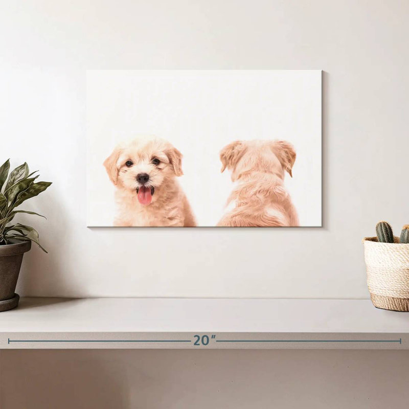 Brampt Puppy Front And Back Portrait, 8" H x 12" W