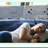 SleepEase Duo Comfort Pillow - Memory Foam Neck Support for Couples. Orthopedic Tunnel Pillow for Side, Back, Stomach Sleepers. Relieve Neck & Shoulder Pain.