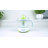 Continental Electric Electric Citrus Juicer