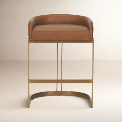 Bradley Genuine Leather Bar & Counter Stool