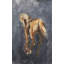 Midnight Storm II Print by Elena Carlie-26945698-26945701