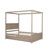 Canopy Bed With Trundle-72895106