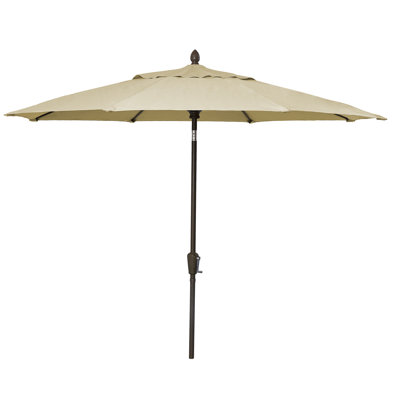 Market Umbrella
