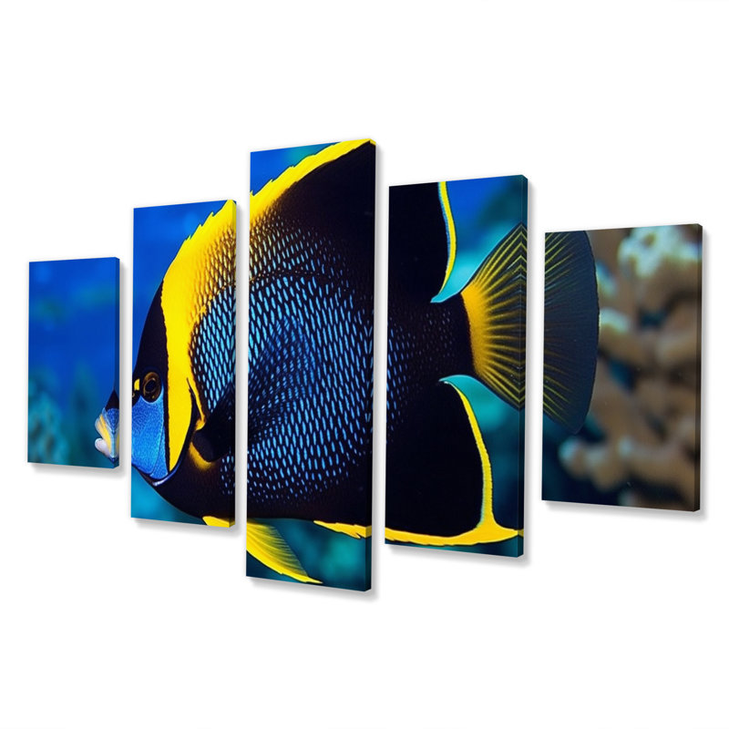 Finned Fish Wonders I - Animals Canvas Art Print - 5 Panels