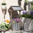 Raised Garden Bed