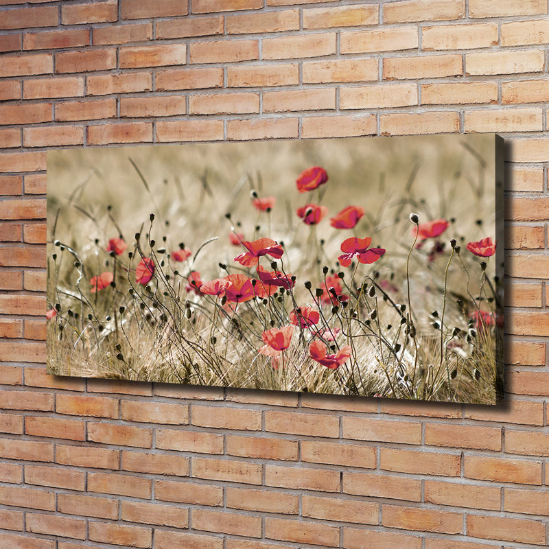 Maki - Wrapped Canvas Print