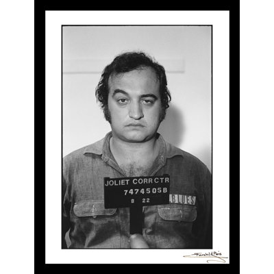 " JOHN Belushi Blues Bros Mugshot' "