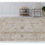 Ziegler Wool Oriental Area Rug
