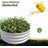 32"/47.24" Diameter × 11.4" Tall Round Galvanized Metal Raised Garden Bed (Black/Silver) - Durable Outdoor Planter Box For Vegetables, Herbs, Flowers & Fruits-1676285115-1676285093