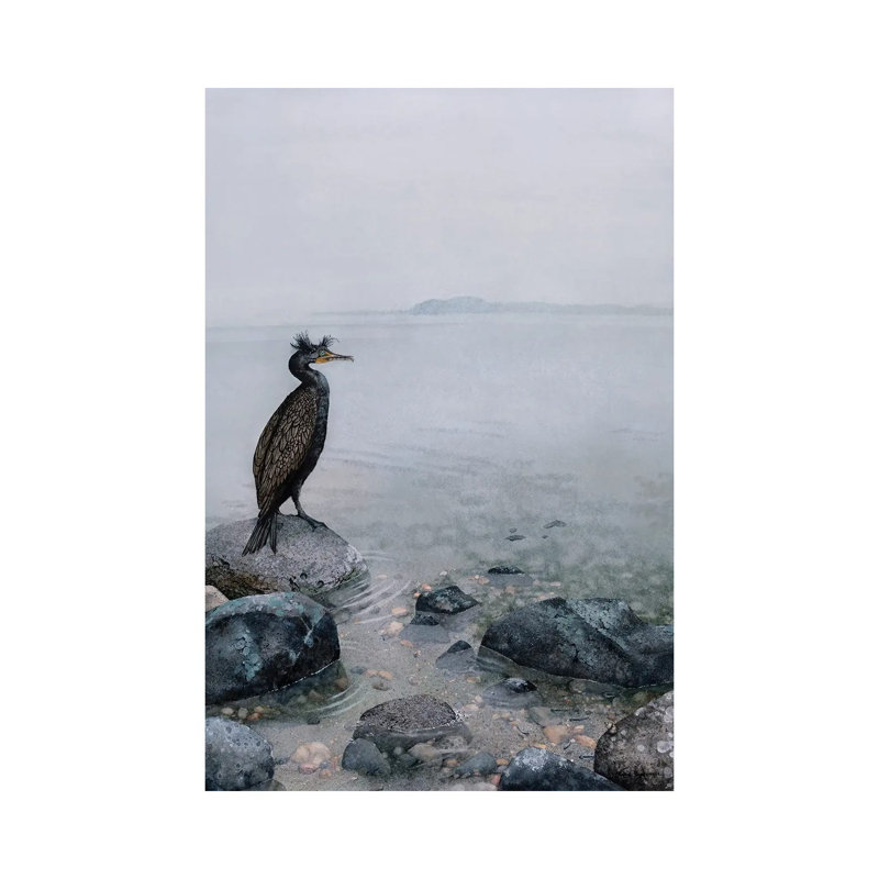 The Shallows by Maggie Vandewalle - Wrapped Canvas Print, 152.5 cm H x 101.5 cm W
