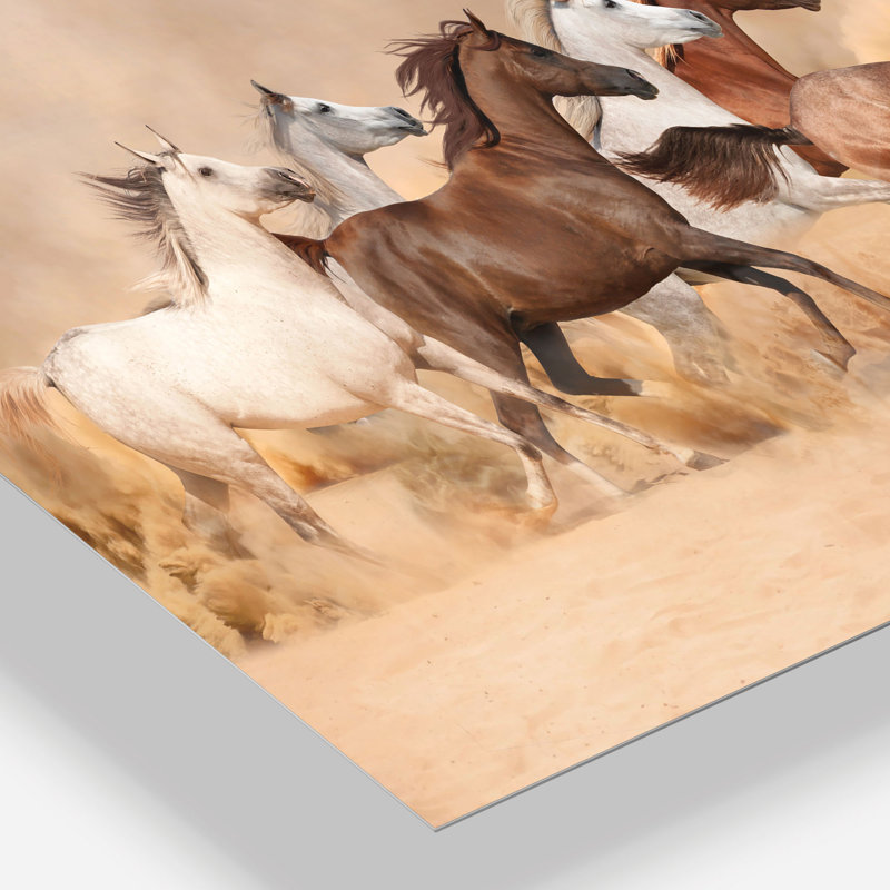 «Herd Gallops in Sand Storm», reproduction de photo sur toile tendue, H 8 po x l 12 po x P 1 po, Toile tendue