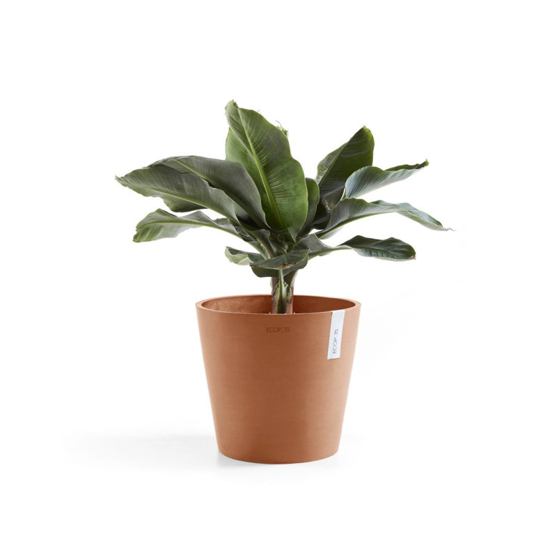Jardinières en pot, Terre cuite, H 10 po x l 10 po x P 9,65 po