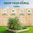 Keimari Wood Raised Garden Bed-1263564745