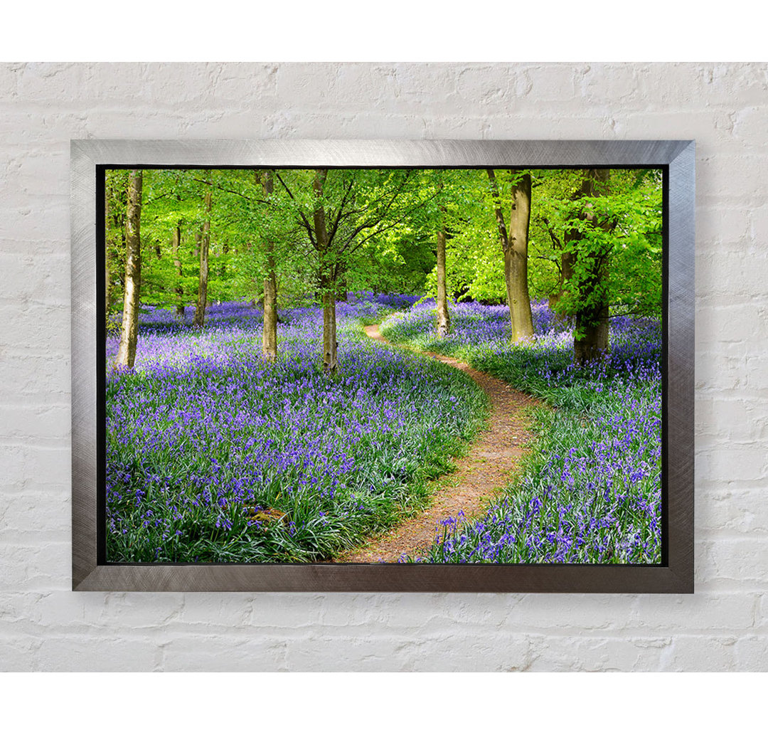 Walk Through The Bluebell Path - Einzelne Bilderrahmen Kunstdrucke