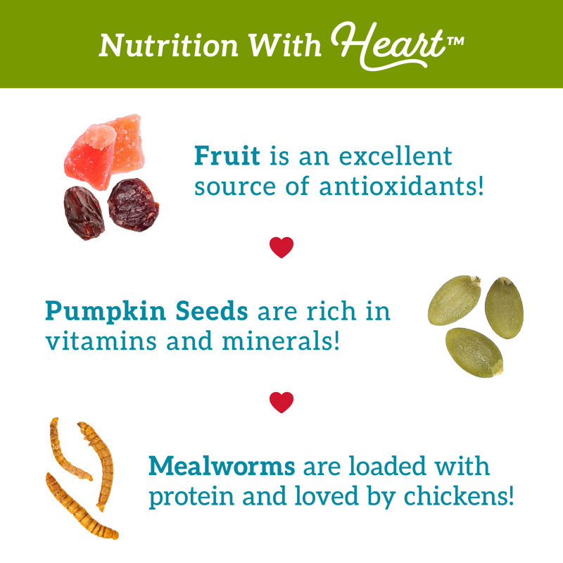 Love My Girls: Chicken Snacks - Fruit & Worms