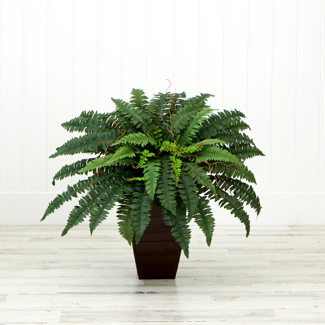 Varner 21'' Faux Fern Plant in Metal Planter Primrue