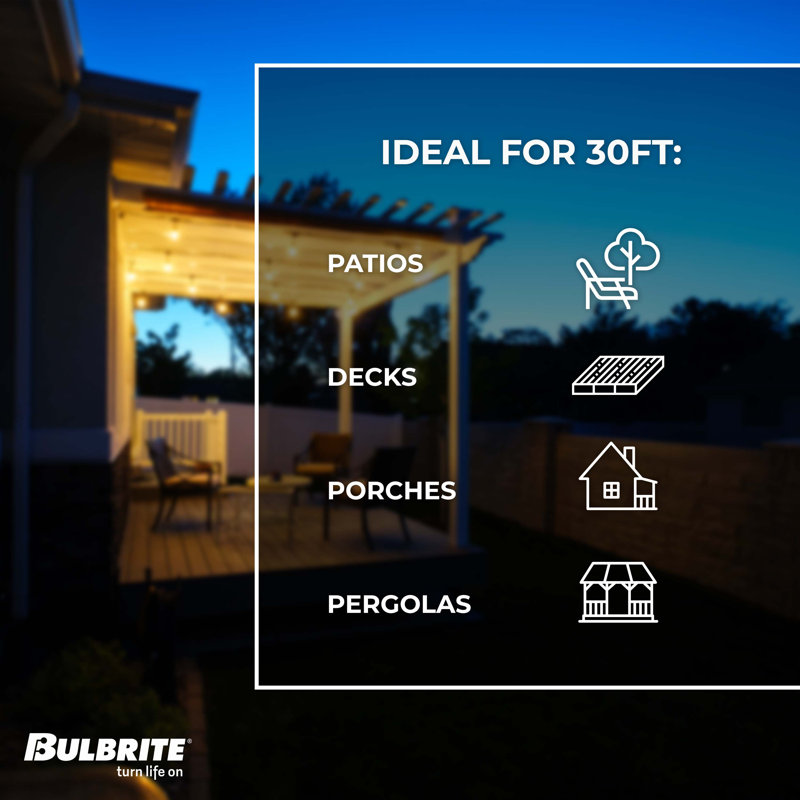 Kaitlynmarie 30-ft Outdoor 12 - Bulb Standard String Light (End to End Connectable), Incandescent