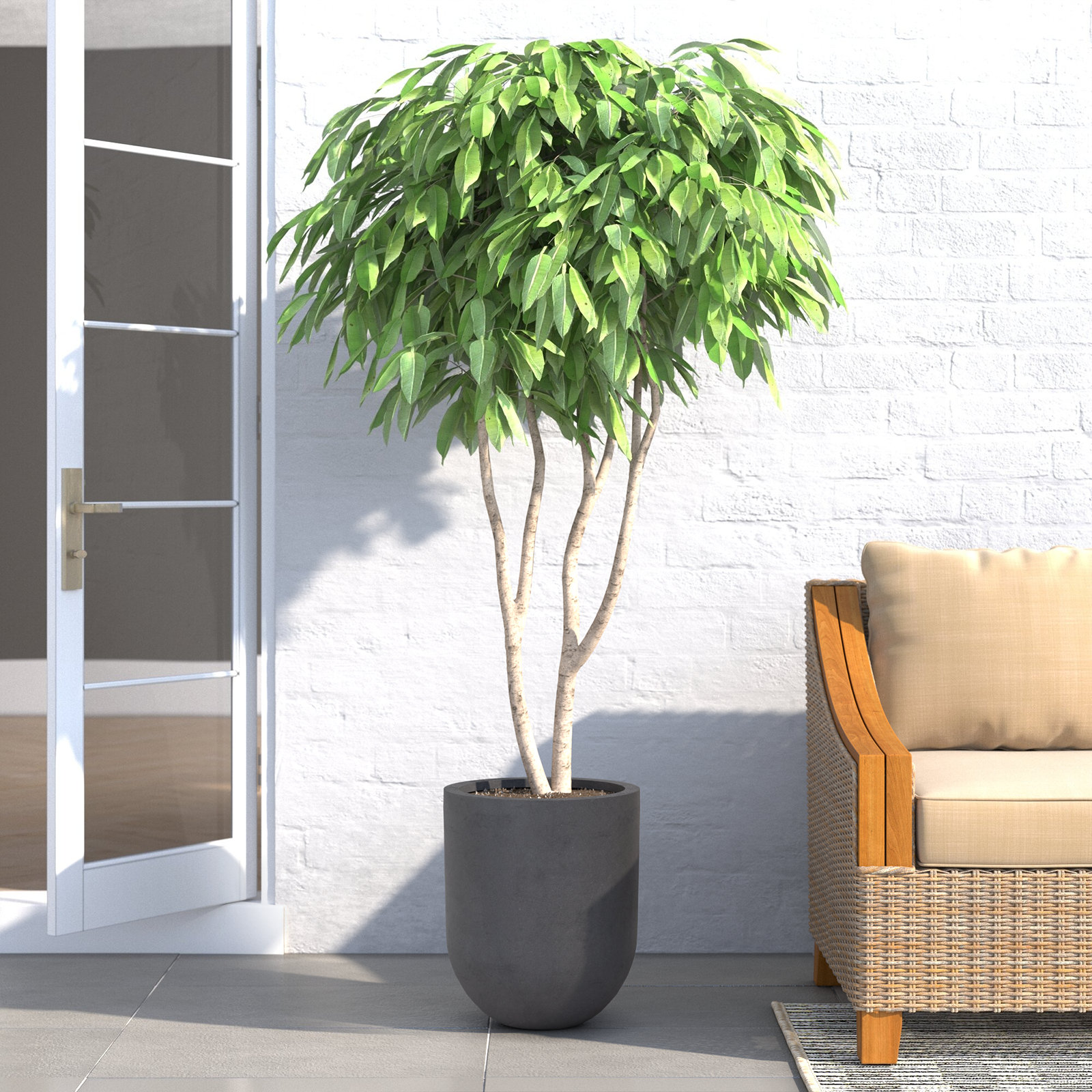 Ceola Pot Planter, 17.5" H x 14.75" W x 14.75" D