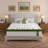 Bedstory 8-Layer Medium Firm Hybrid Mattress with Gel Memory Foam & Convoluted Support - Fiberglass-Free, CertiPUR-US/OEKO-TEX, Dual-Zone Coils-588697114-574346643