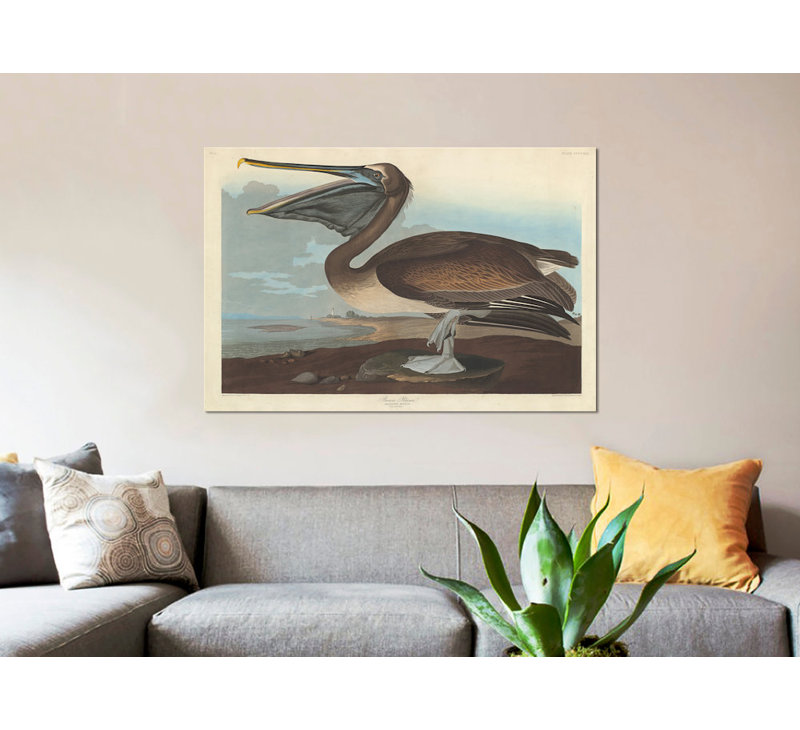 « pelican », impression sur toile, H 8 po x l 12 po x P 0,75 po