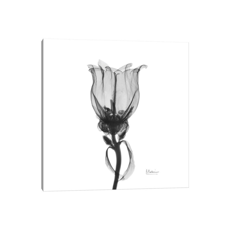 Canterbury Bell by Albert Koetsier - Wrapped Canvas Gallery-Wrapped Canvas Giclée, 12" H x 12" W, Wrapped Canvas