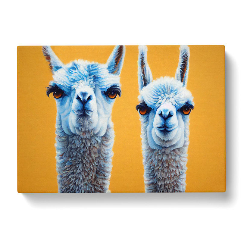 Soulful Llamas - Wrapped Canvas, 50cm H x 76cm W x 3cm D