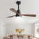48" Nicola 3 - Blade Modern Ceiling Fan with Remote Control and Light Kit