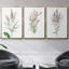 Ensemble de 3 pièces encadrées sur toile "Dicat Botanical I"-97754391-97754387