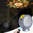 LED Star Projector Light