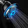 Handheld Shower Head 2.5 GPM GPM
