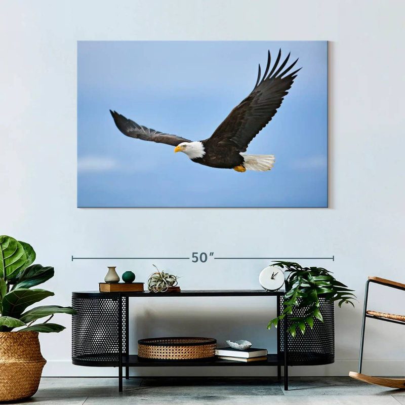 Brampt Gliding Bald Eagle, 32" H x 48" W