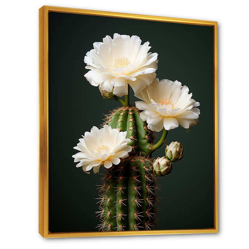 Cactus ivoire isolé sur toile, Cadre flottant doré, H 32 po x l 24 po x P 1 po