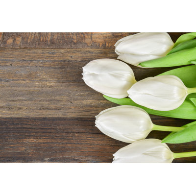 White Tulips - Wrapped Canvas Print