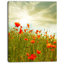 Floral, coquelicot rouge, toile d'art sur fond - Coquelicot-1865067105-1824645927