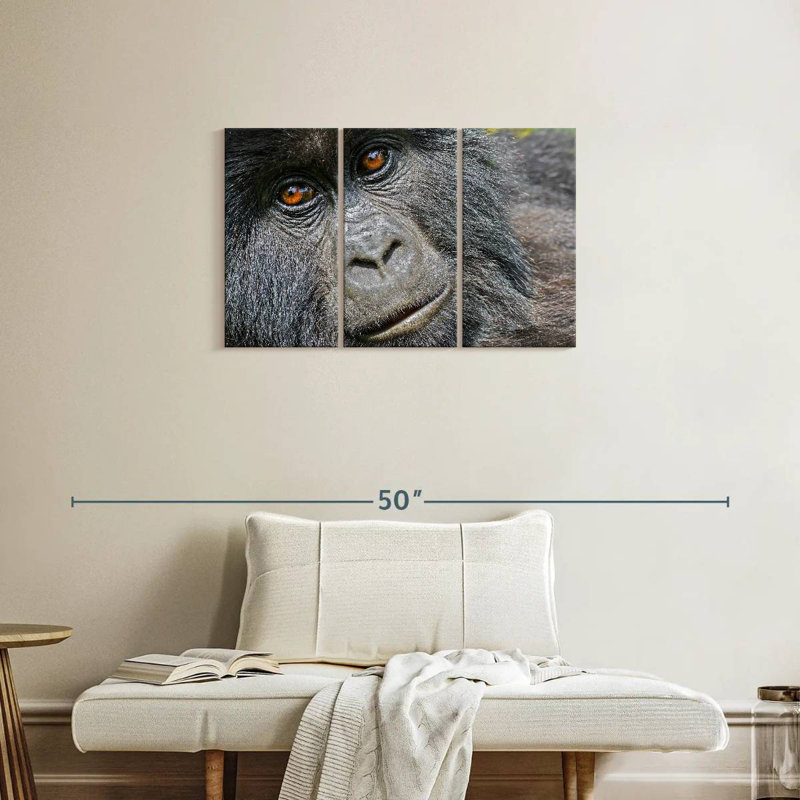 Gorilla Face, 20" H x 33" W