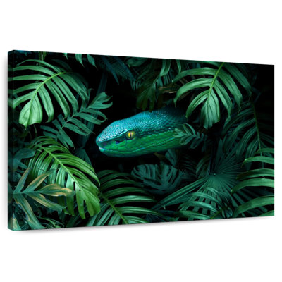 Tropical Snake