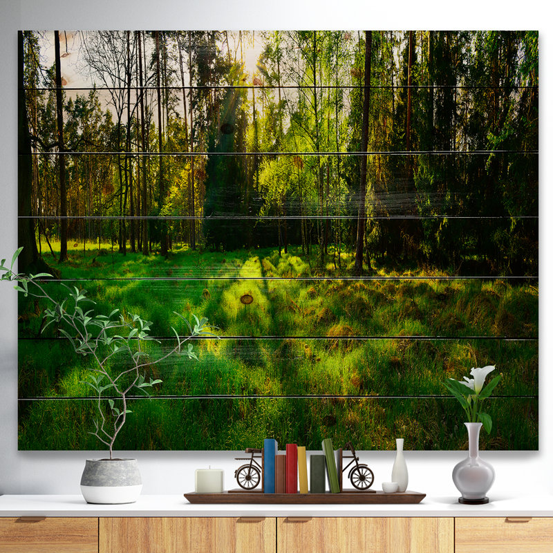 Green Forest Sunset Panorama - impression sur bois sans cadre, H 30 po x l 40 po x P 1 po