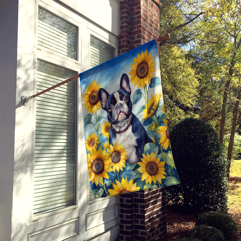 Drapeau de la maison du tournesol Malamute d'Alaska, Bouledogue français noir