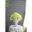 Pot à fleurs en ciment pour usage intérieur extérieur - capacité 900 ml, vase gris, décoration de jardin de 6,16 x 5,92 x 9,17 pouces, 900 ml,-1684626564-1684626619